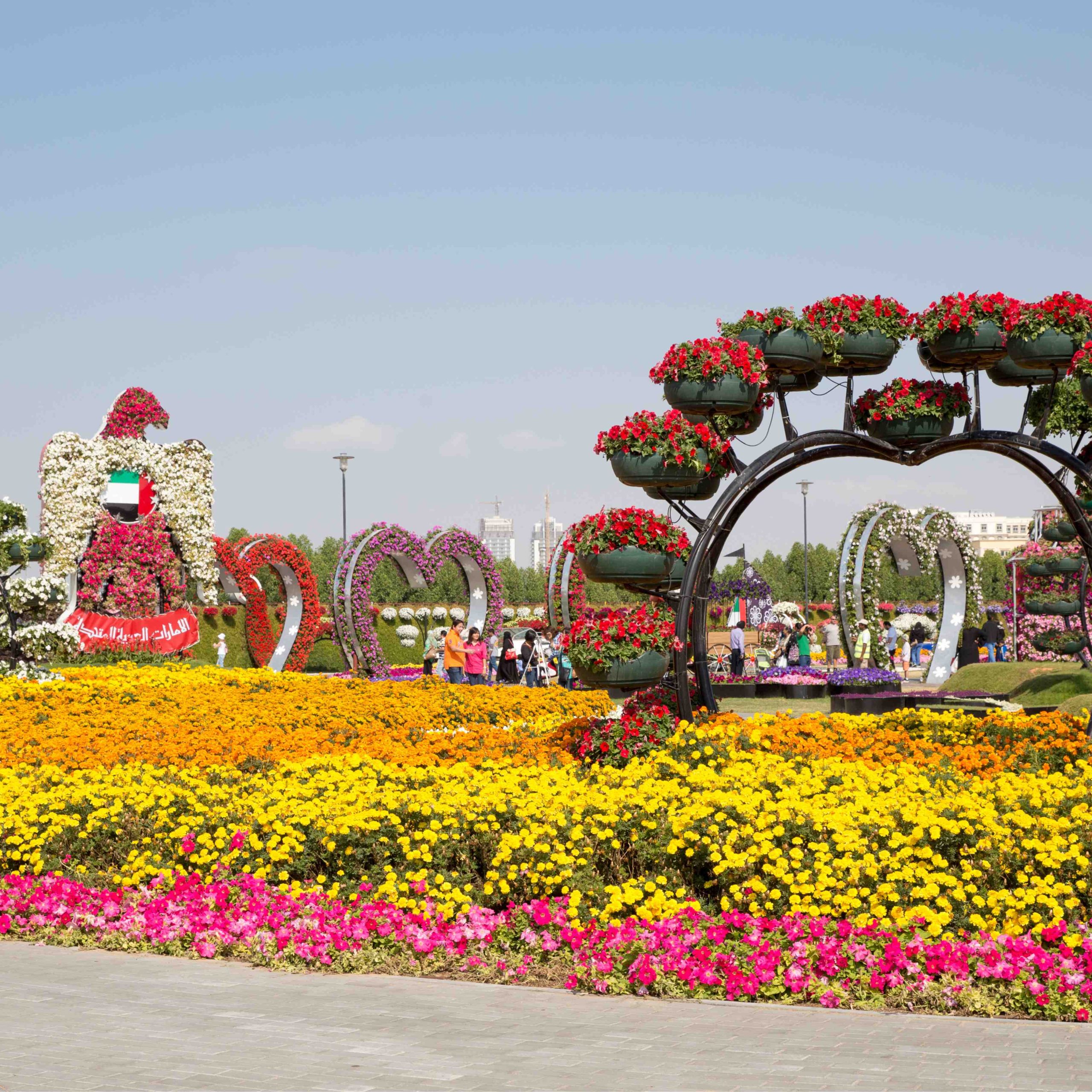 Dubai Miracle Garden