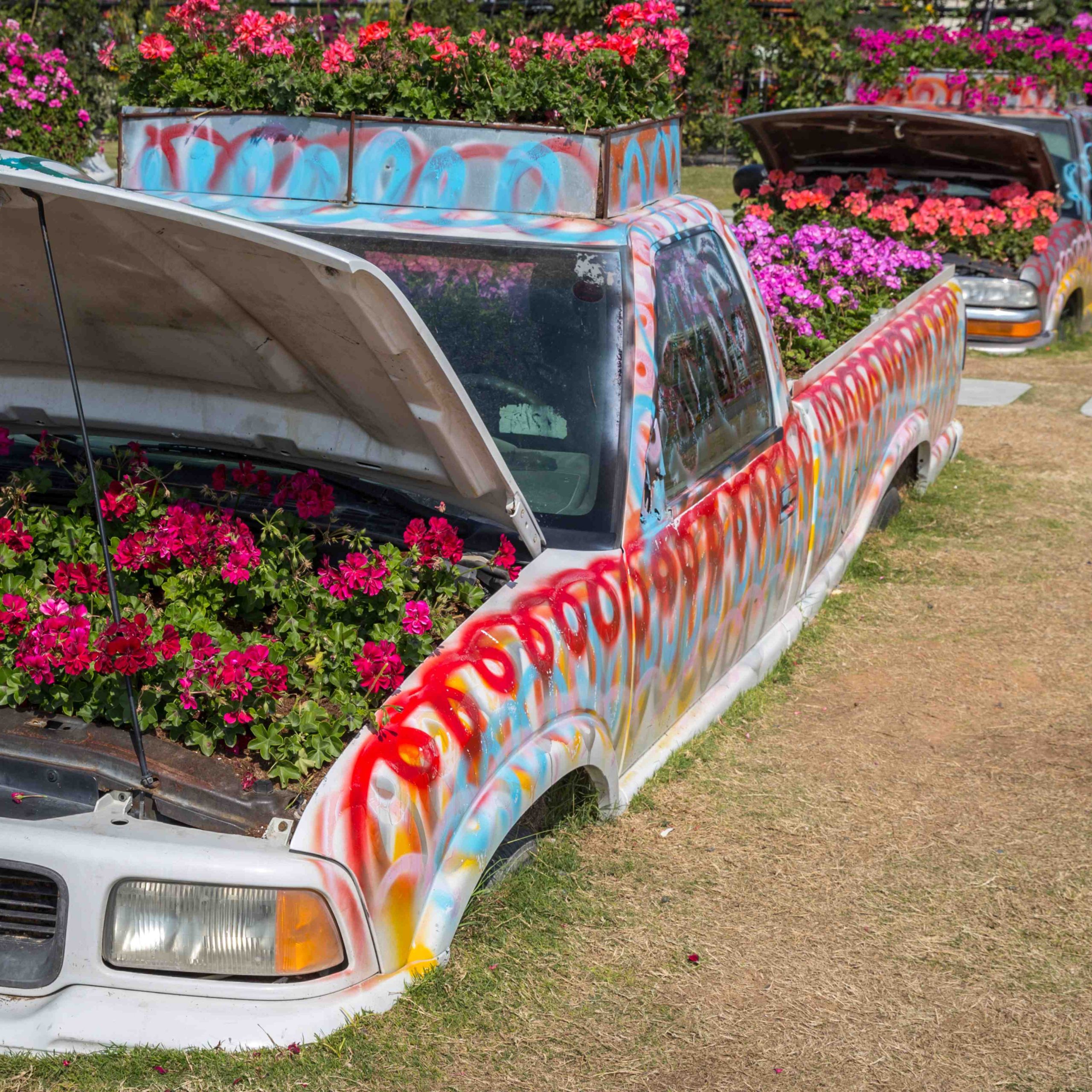 Dubai Miracle Garden