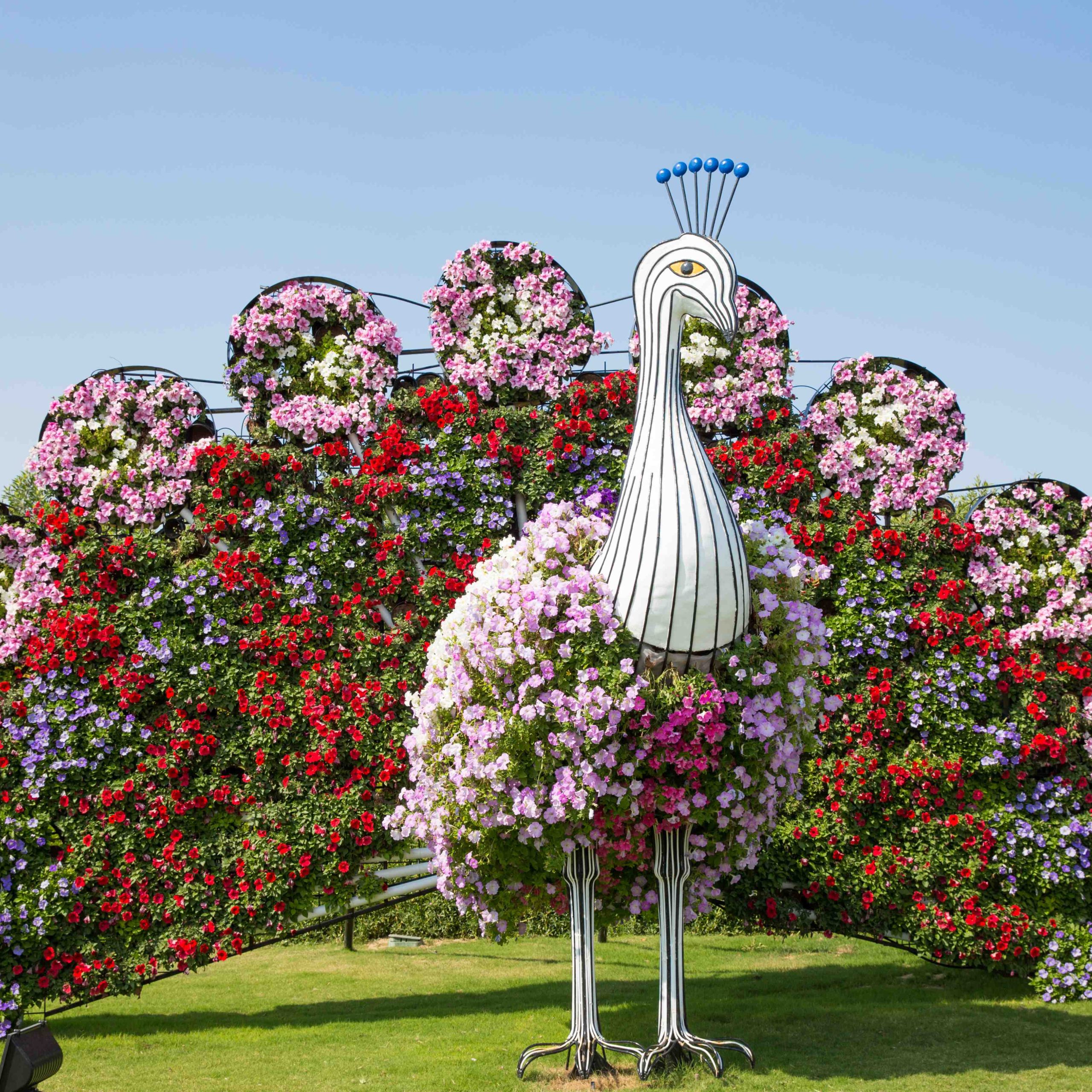 Dubai Miracle Garden