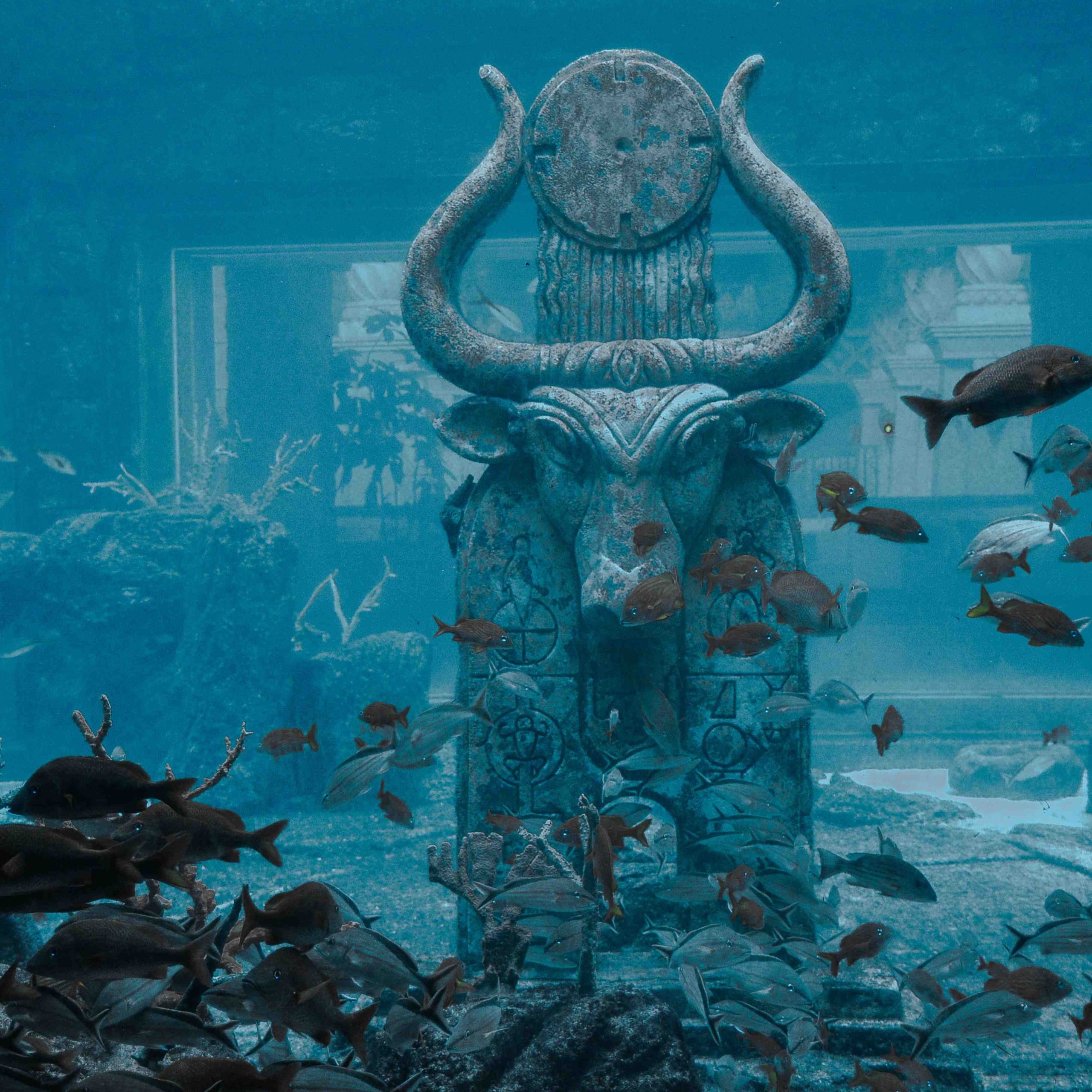 The Lost Chambers Aquarium