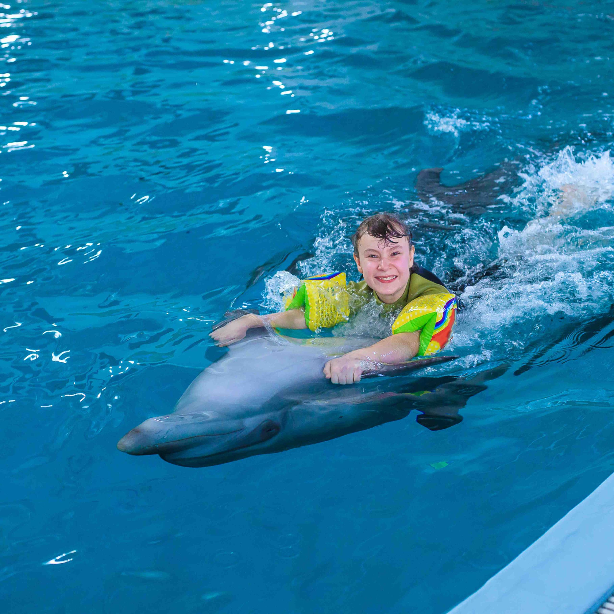 Dubai Dolphinarium Experience