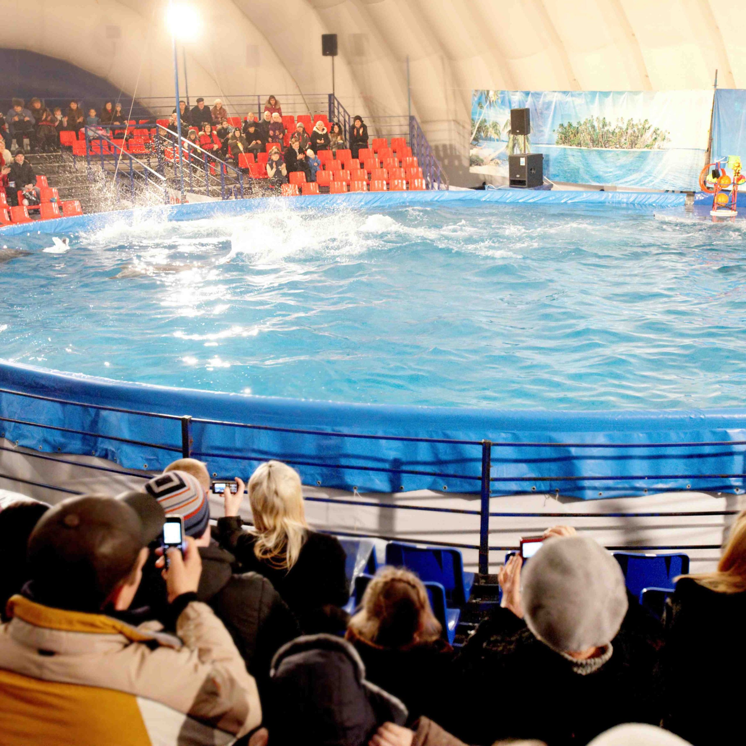 Dubai Dolphinarium Experience