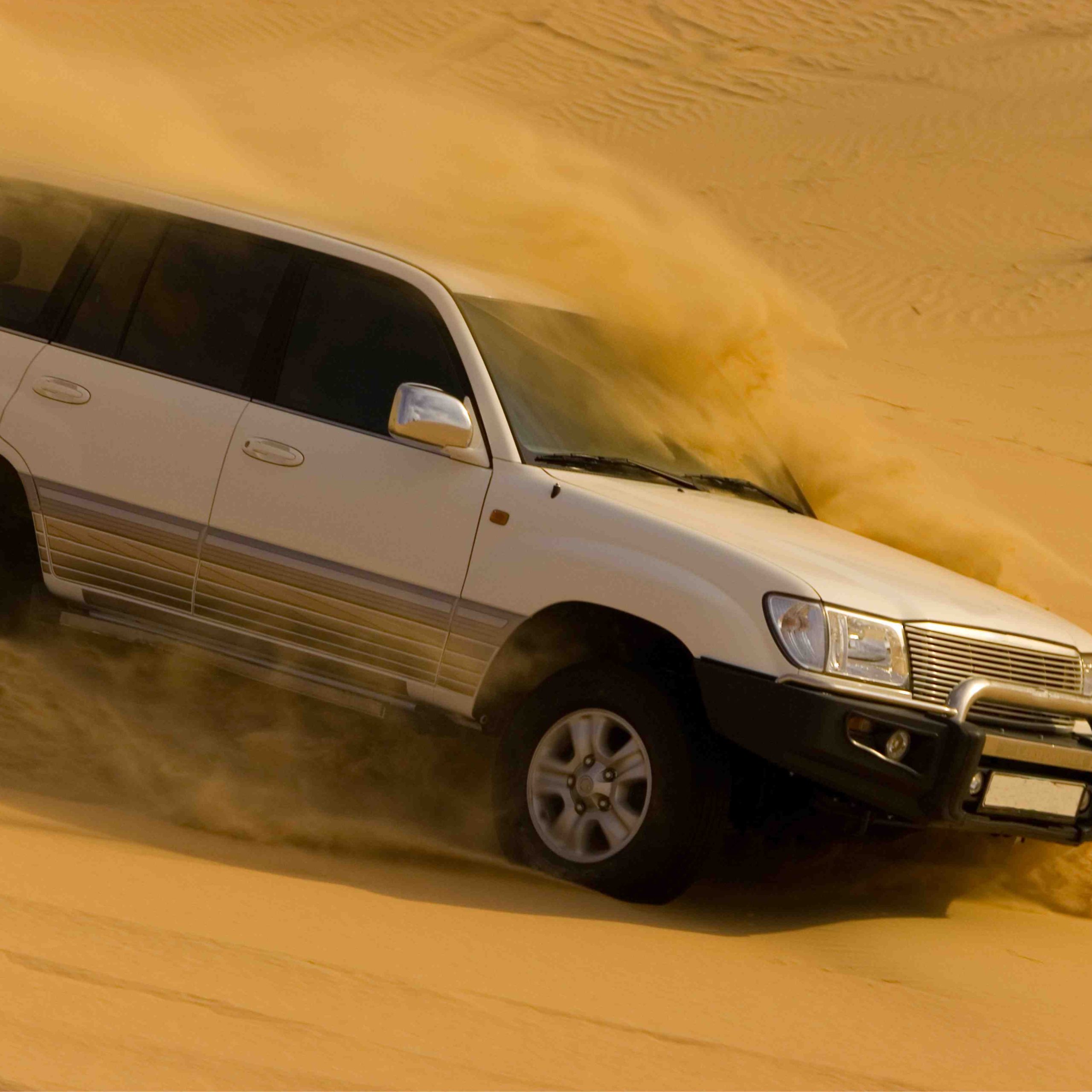 Day 2: Exclusive Desert Safari with Private Guide 