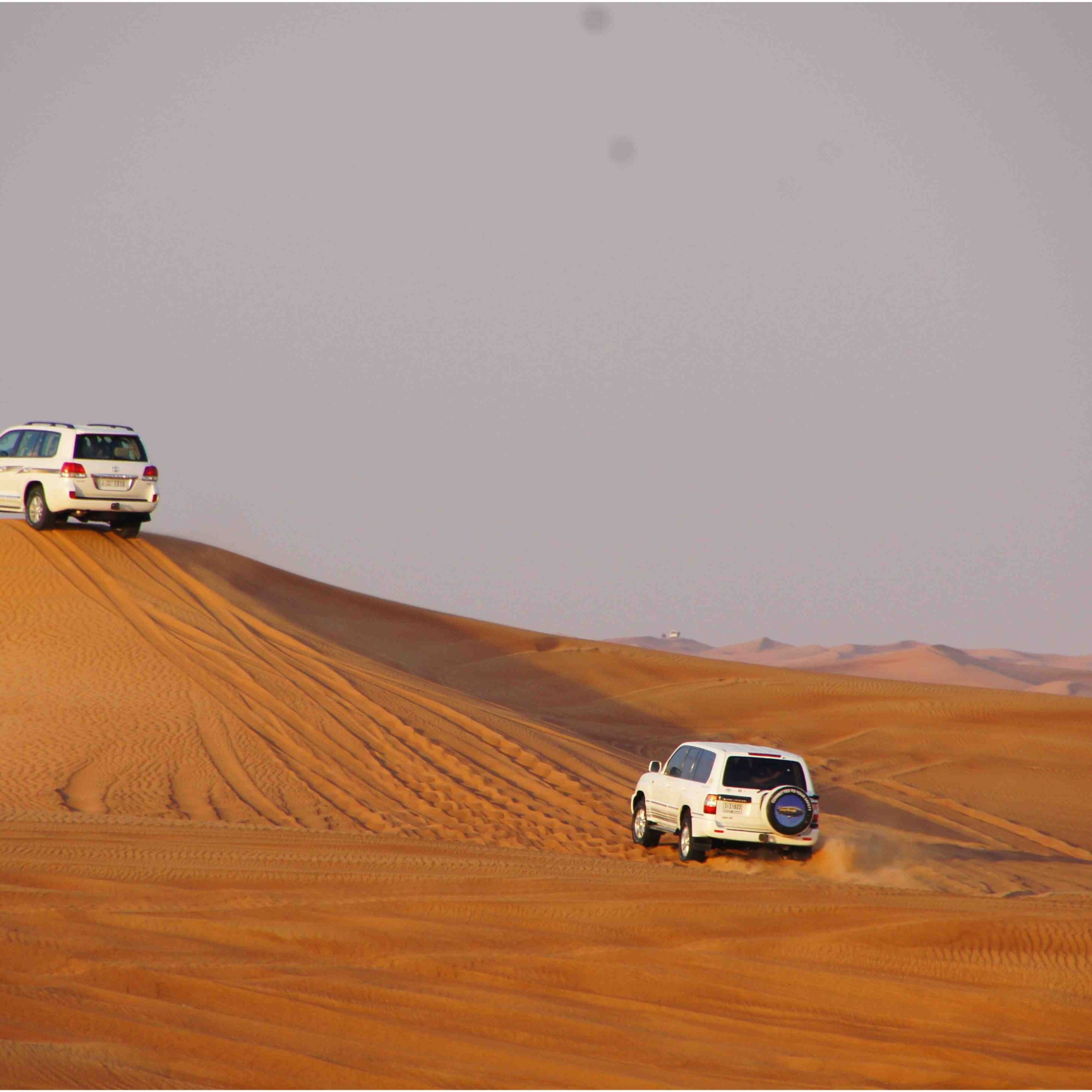 Desert Safari Adventure