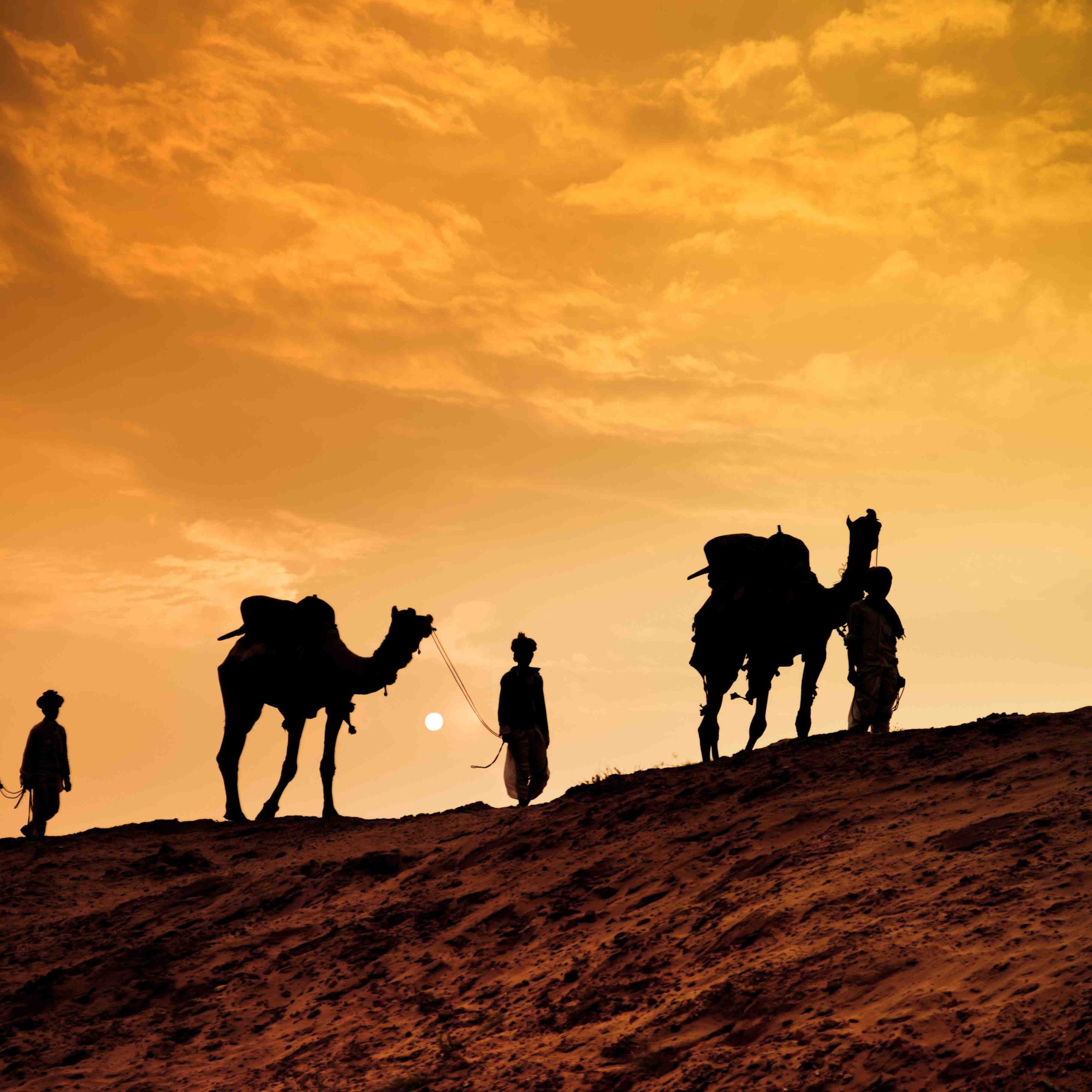Desert Safari Adventure